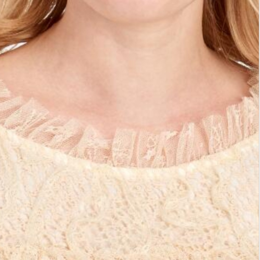 V CRISTINA Lace Embroidered Ruffled Tulle Top - Picture 3 of 7